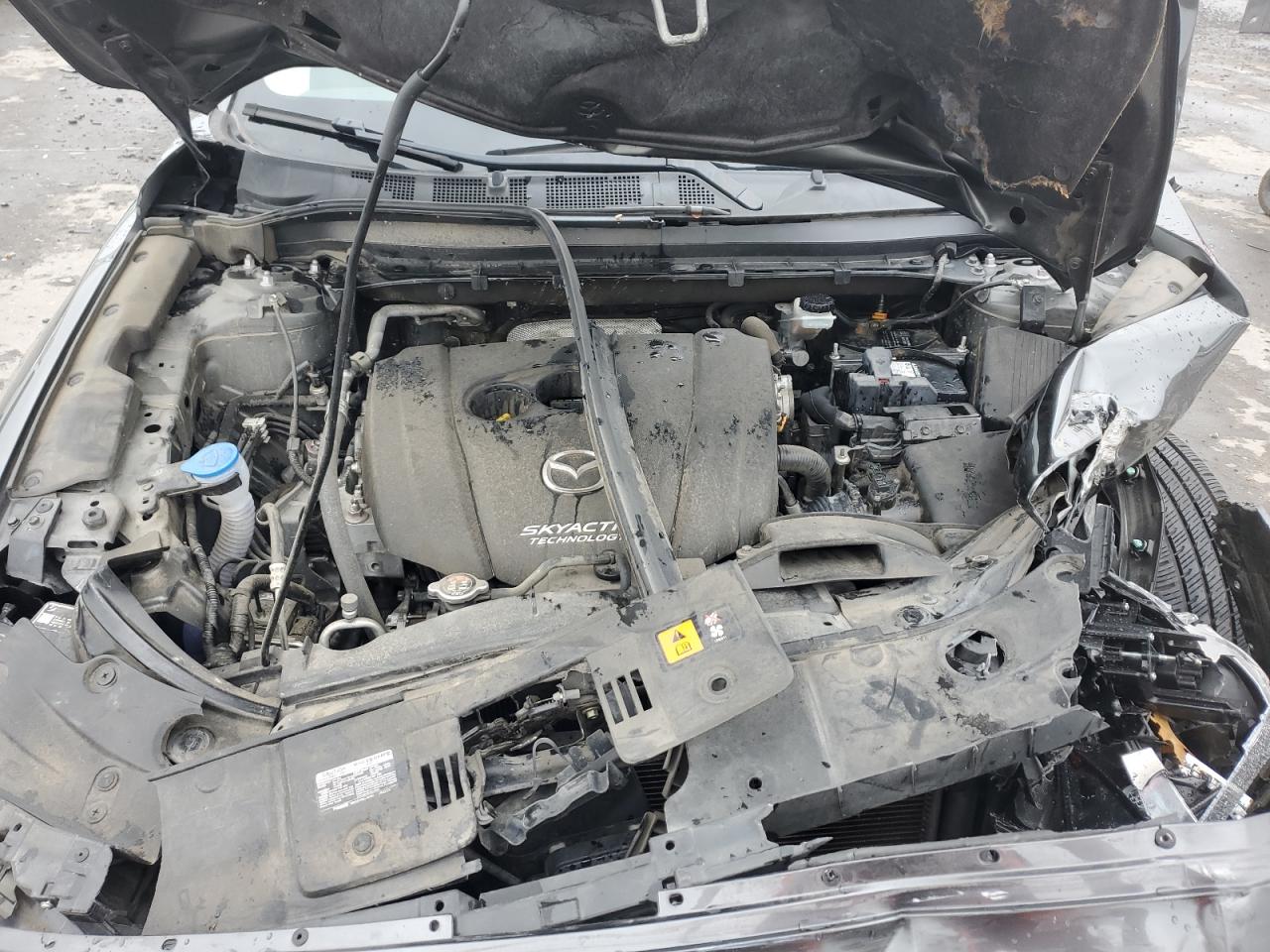 2019 Mazda Cx-5 Touring VIN: JM3KFACM4K0550954 Lot: 83979475