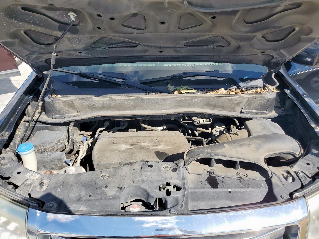 2015 Honda Pilot Exl VIN: 5FNYF3H59FB010586 Lot: 82079255