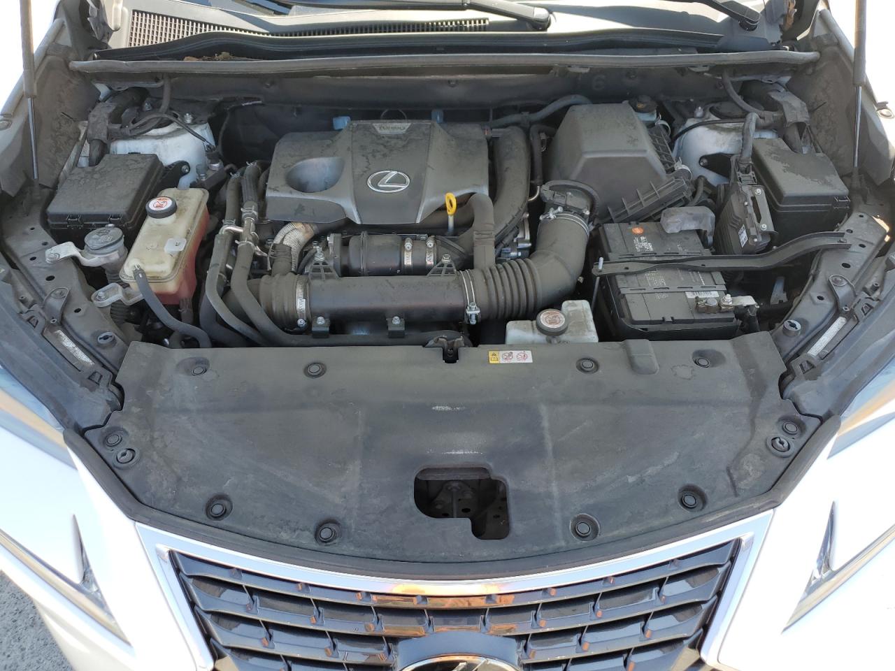 2020 Lexus Nx 300 VIN: JTJGARBZ1L5019480 Lot: 80903675