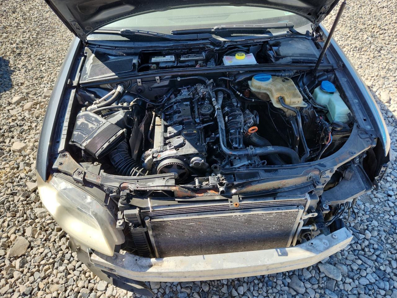 2007 Audi A4 2.0T Quattro VIN: WAUDF78EX7A236441 Lot: 82133555