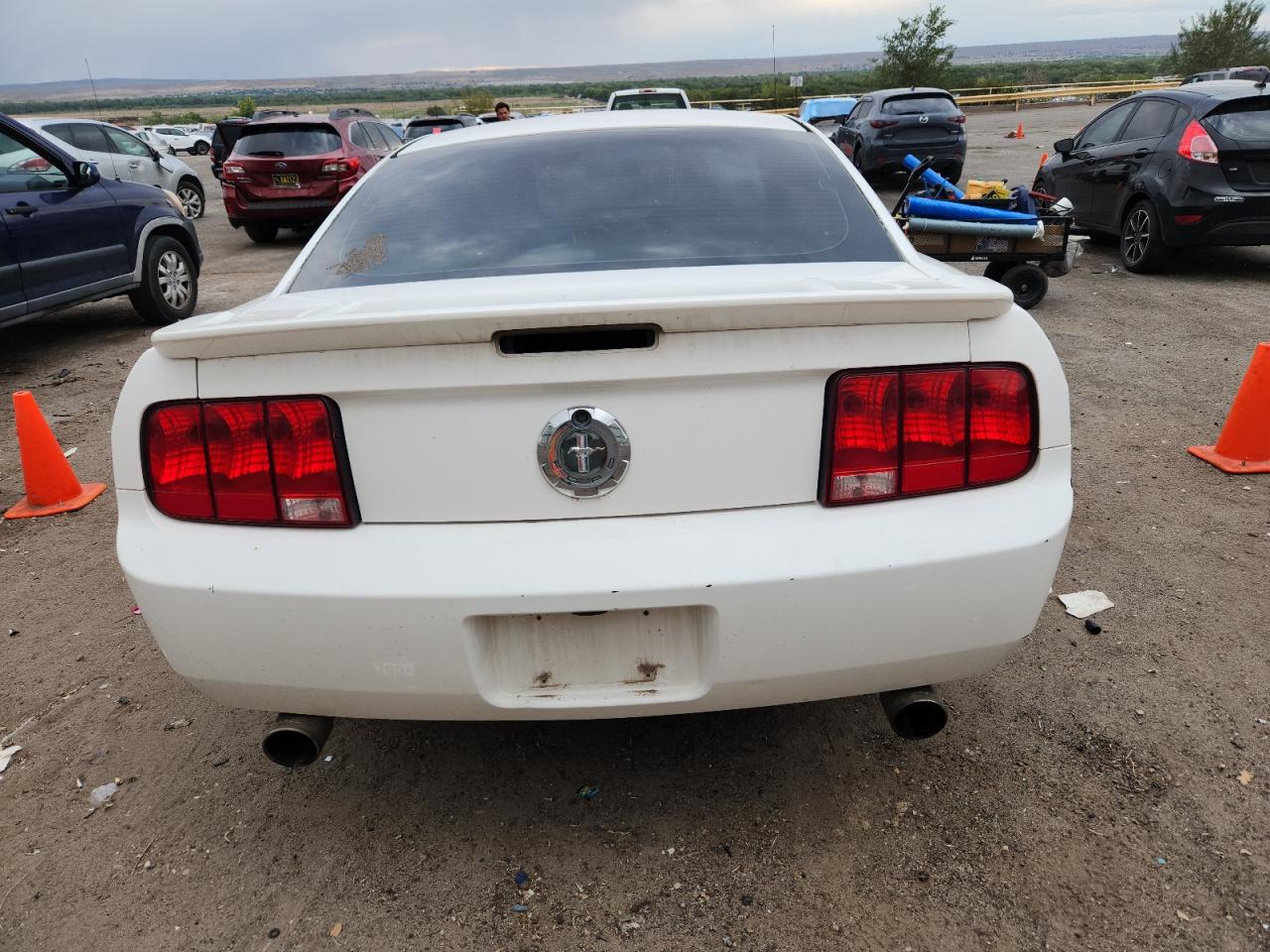 2007 Ford Mustang VIN: 1ZVFT80N175307473 Lot: 71114285