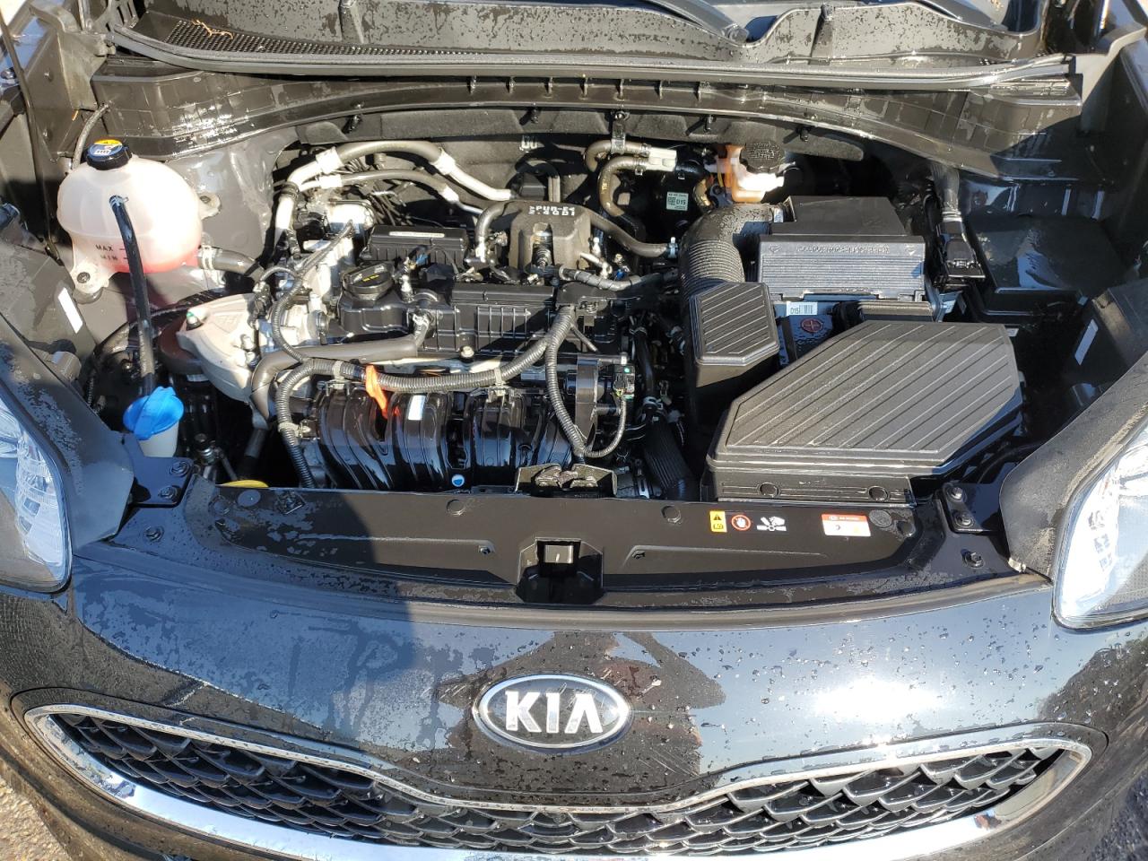 2021 Kia Sportage Lx VIN: KNDPM3AC3M7874482 Lot: 80090715