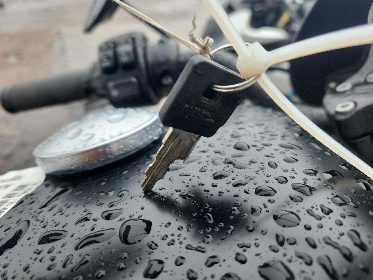 2014 Harley-Davidson Xl883 Iron 883 VIN: 1HD4LE211EC405607 Lot: 81696075