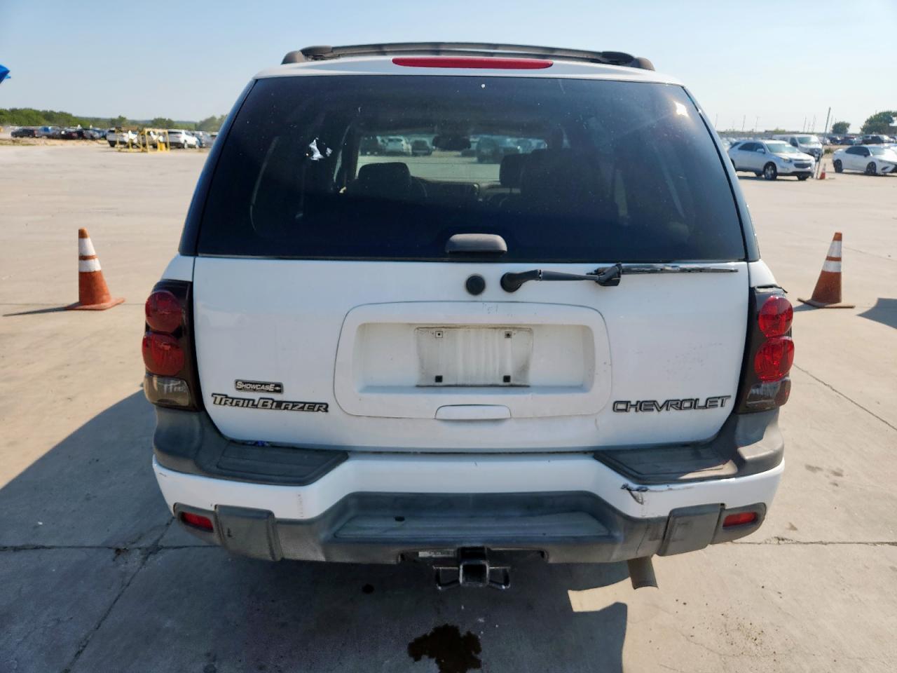 2002 Chevrolet Trailblazer VIN: 1GNDS13S522322209 Lot: 80184995
