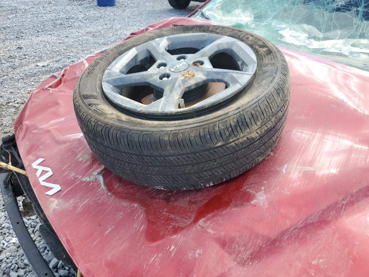 2025 Kia Other VIN: 3KPFT4DE1SE019231 Lot: 84290055