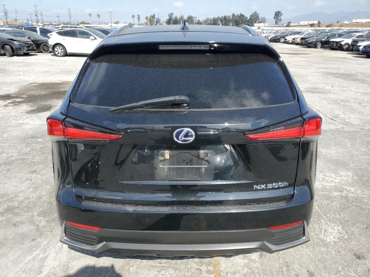 2020 Lexus Nx 300H VIN: JTJGJRDZ7L2140951 Lot: 80366125