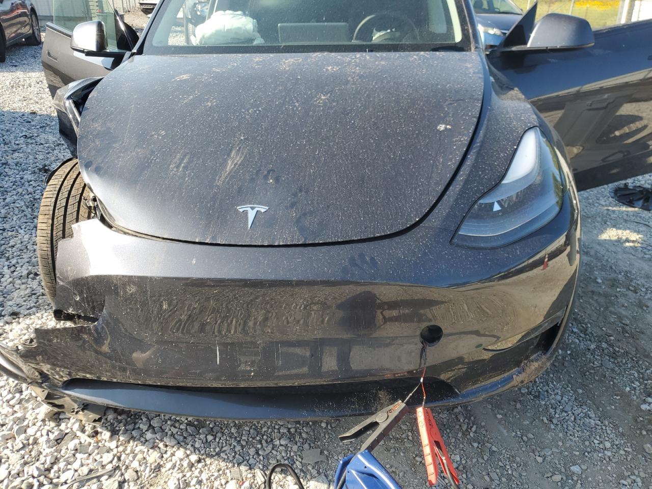 2025 Tesla Model Y VIN: 7SAYGDEE7SA343886 Lot: 71828485