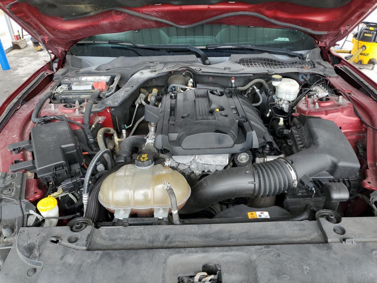 2017 Ford Mustang VIN: 1FA6P8TH8H5256557 Lot: 80872935