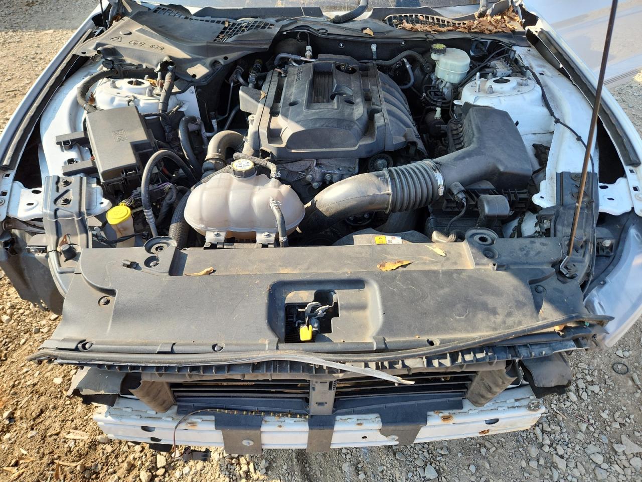 2016 Ford Mustang VIN: 1FA6P8TH3G5278464 Lot: 81625315