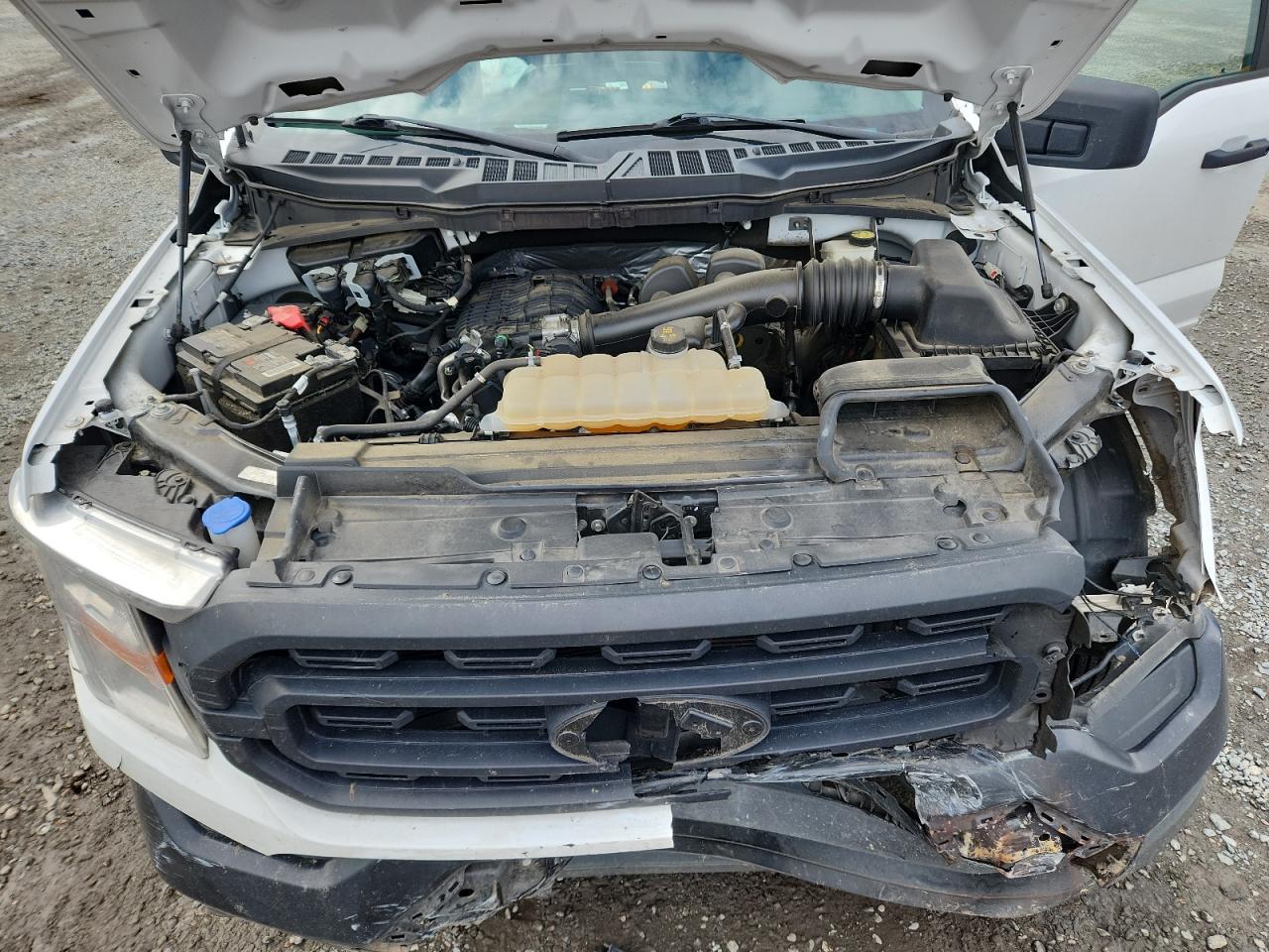 2021 Ford F150 Super Cab VIN: 1FTEX1EB3MKF11746 Lot: 81979155