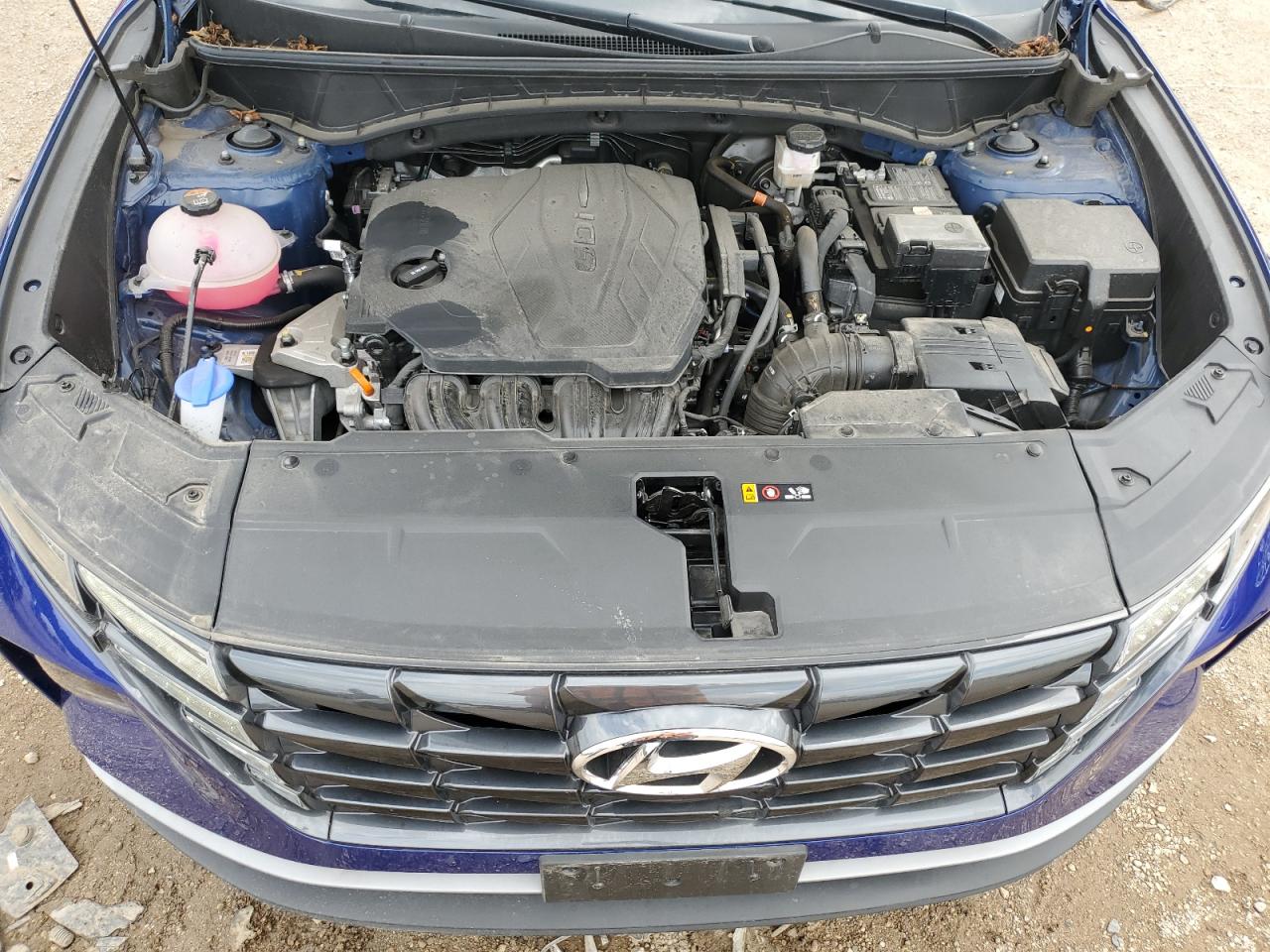 2024 Hyundai Tucson Sel VIN: 5NMJFCDE2RH339902 Lot: 81216905