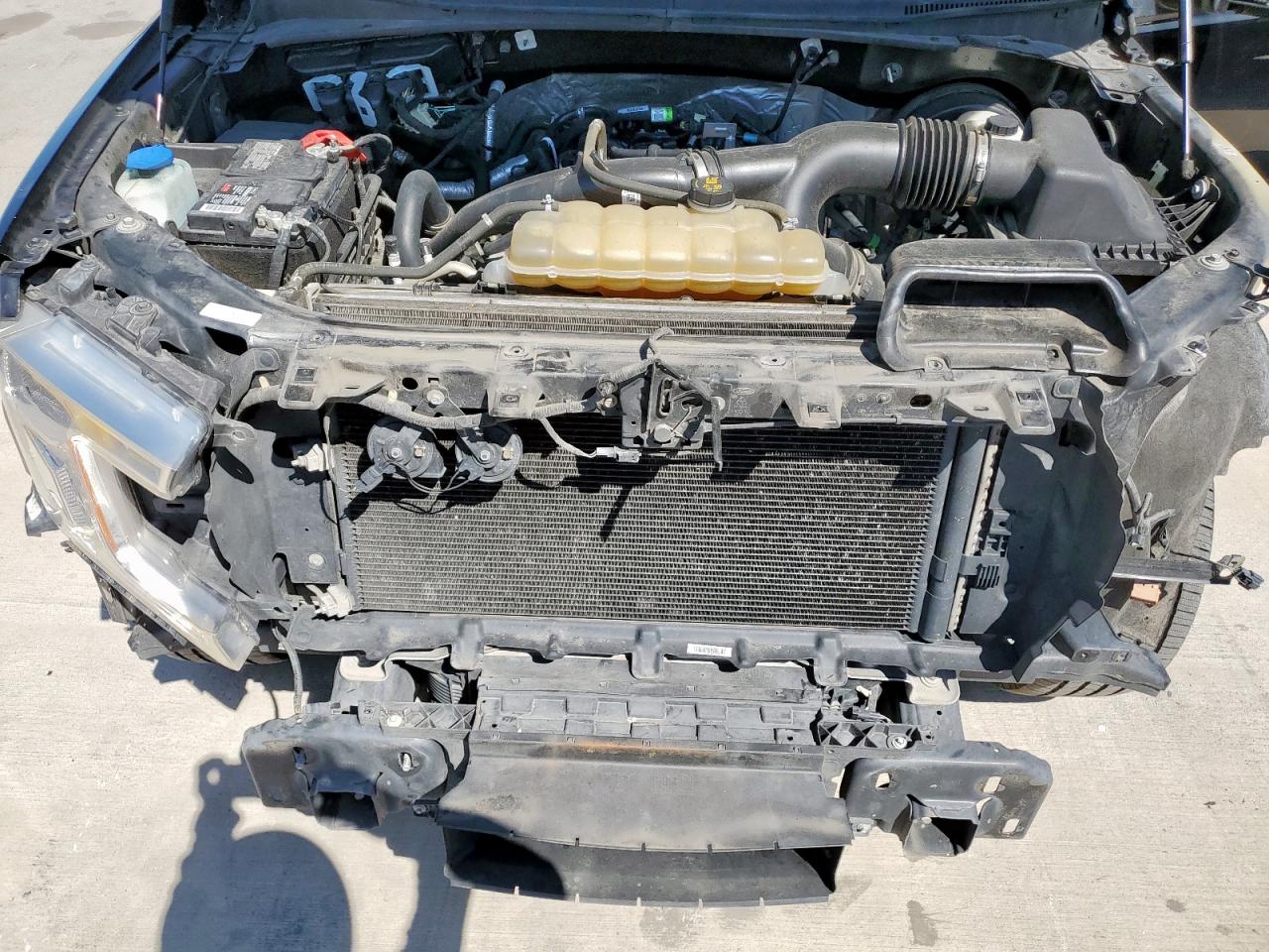 2019 Ford F150 Supercrew VIN: 1FTEW1CP6KKE91877 Lot: 81777555