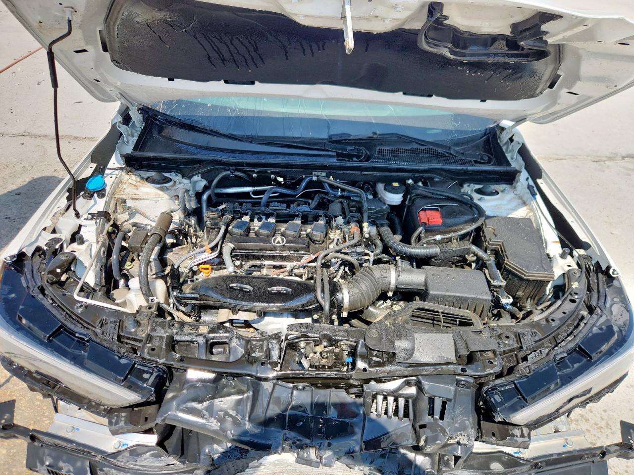 2024 Acura Integra A-Spec VIN: 19UDE4H39RA020202 Lot: 84014055