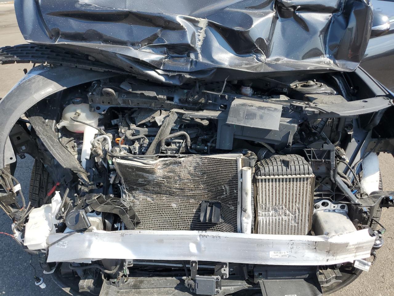 2023 Hyundai Santa Fe Limited VIN: 5NMS4DAL6PH557566 Lot: 81638735