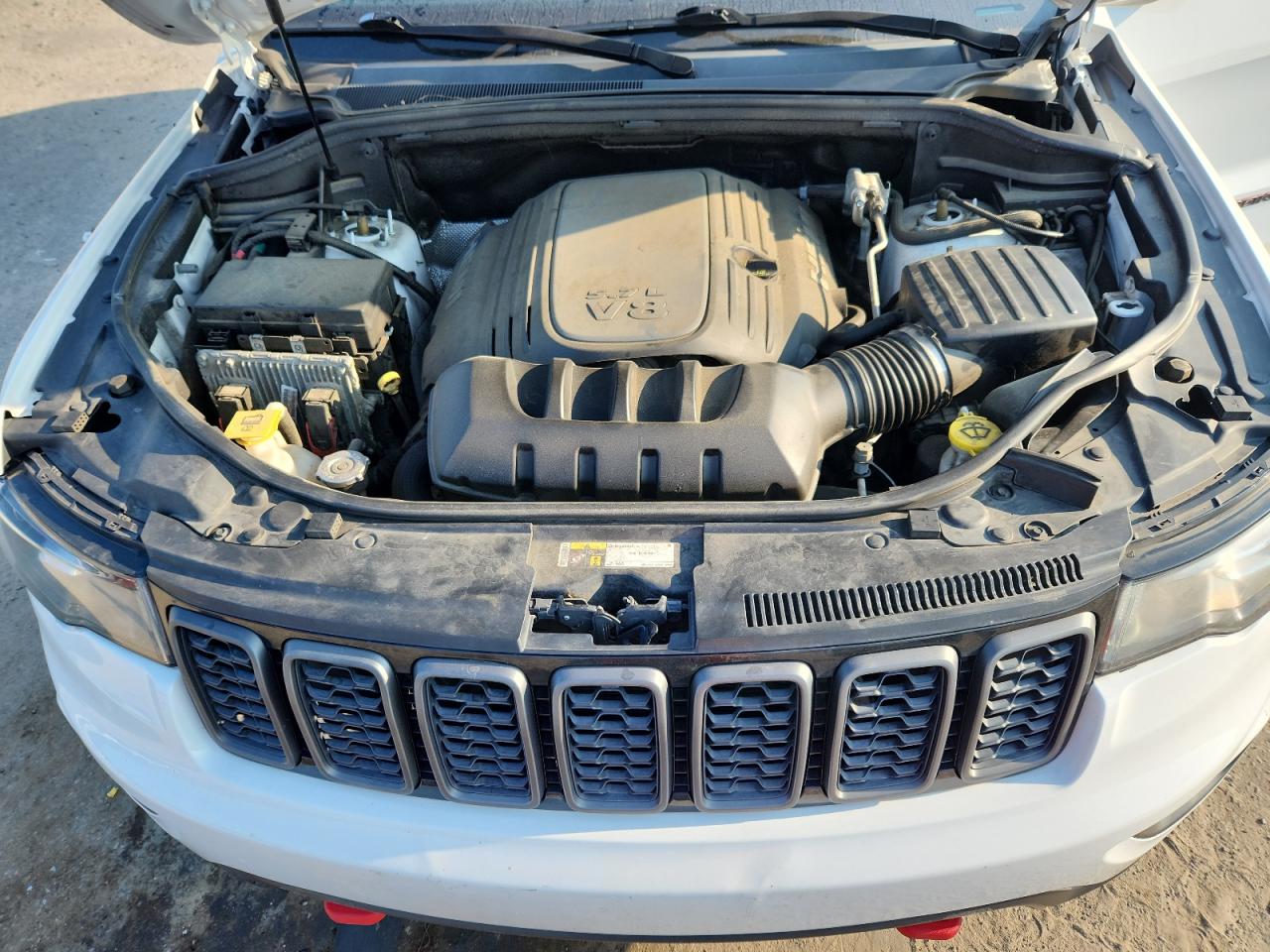 2019 Jeep Grand Cherokee Trailhawk VIN: 1C4RJFLT0KC645925 Lot: 80904565