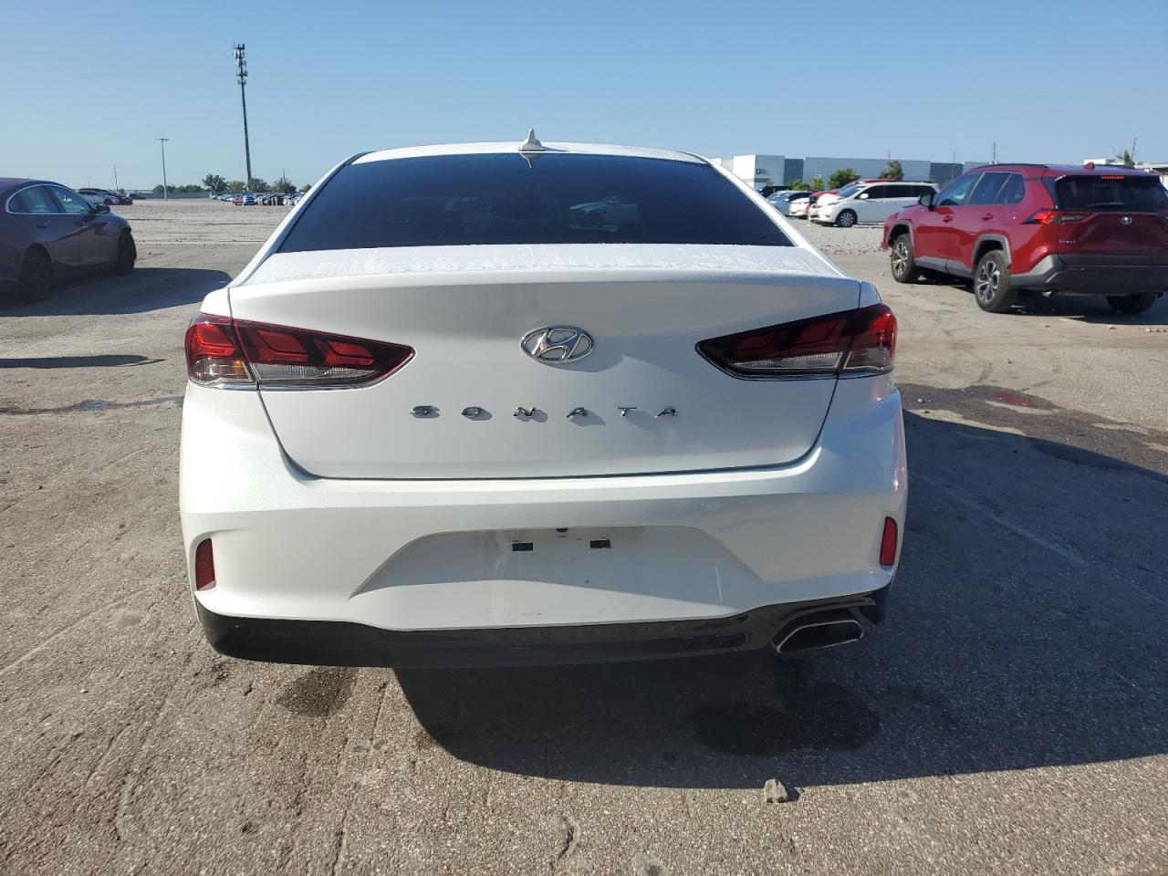 2019 Hyundai Sonata Limited VIN: 5NPE34AF6KH771821 Lot: 81469815