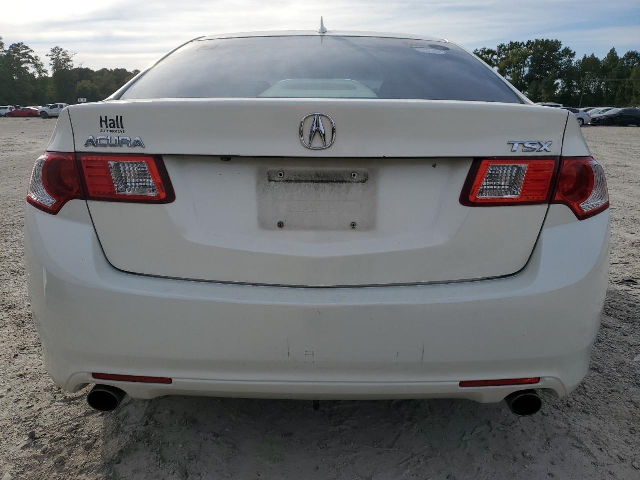 2010 Acura Tsx VIN: JH4CU2F68AC018866 Lot: 80026995