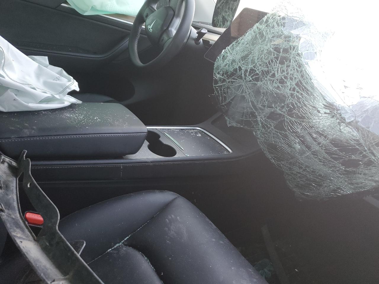 2024 Tesla Model Y VIN: LRWYGDEE8RC670723 Lot: 81564565