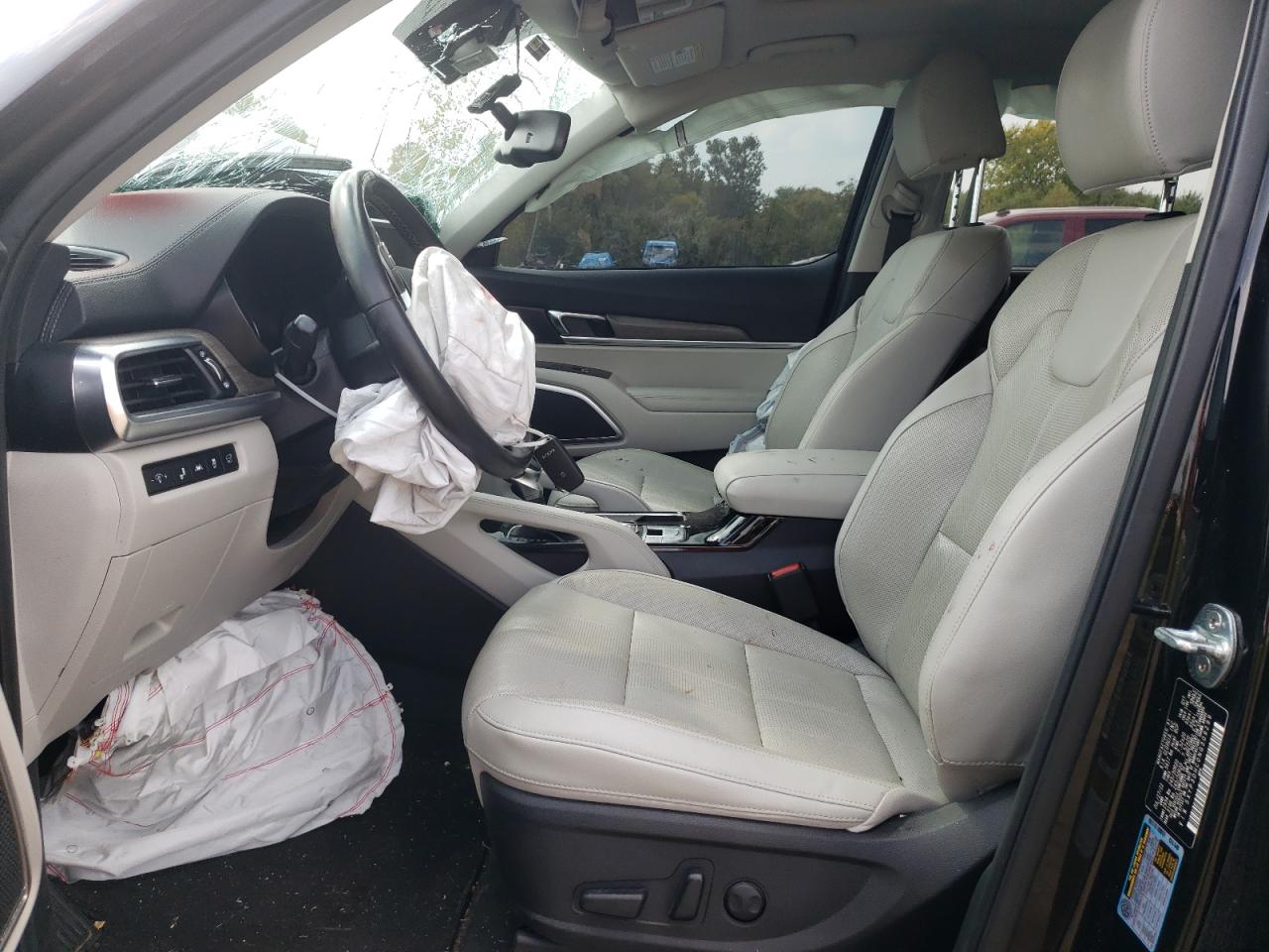 2022 Kia Telluride Ex VIN: 5XYP3DHC0NG309299 Lot: 71818675