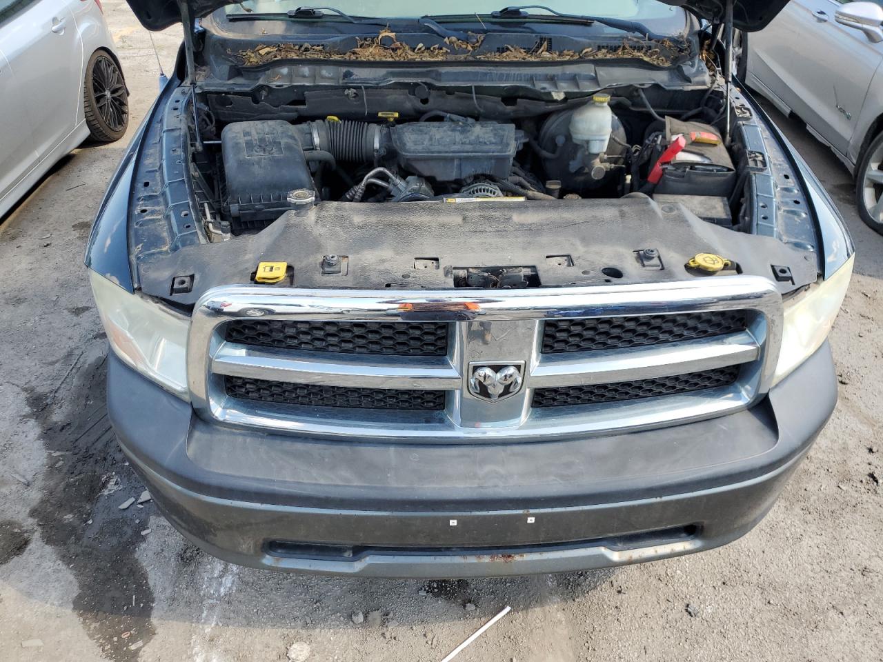 2011 Dodge Ram 1500 VIN: 1D7RV1GP1BS527558 Lot: 81820575