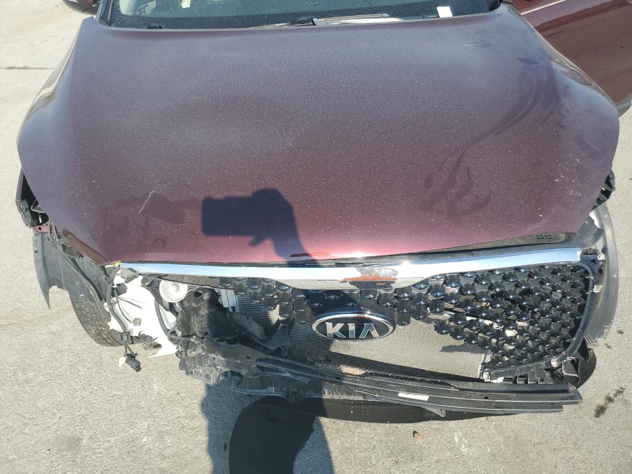 2017 Kia Sorento Lx VIN: 5XYPG4A36HG265764 Lot: 80486085