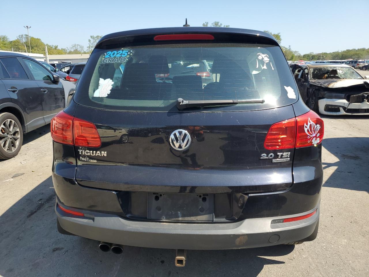 2013 Volkswagen Tiguan S VIN: WVGBV3AX5DW624804 Lot: 81447185