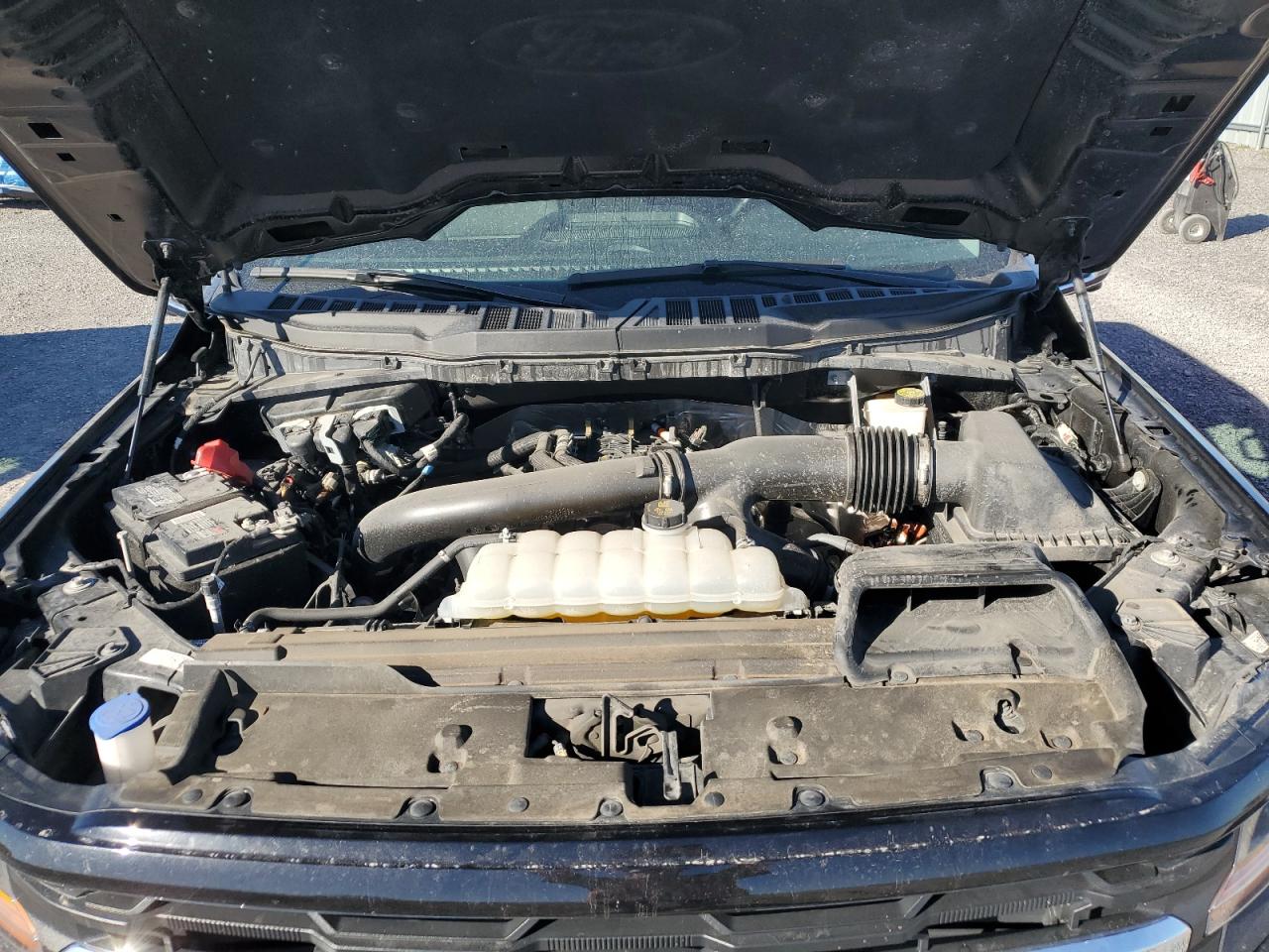 2024 Ford F150 Xlt VIN: 1FTFW3L85RKE04442 Lot: 80445405