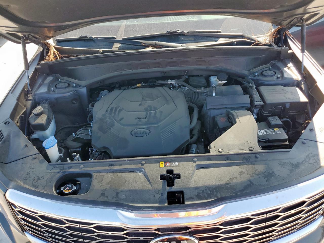 2020 Kia Telluride Ex VIN: 5XYP3DHC7LG086224 Lot: 80512755