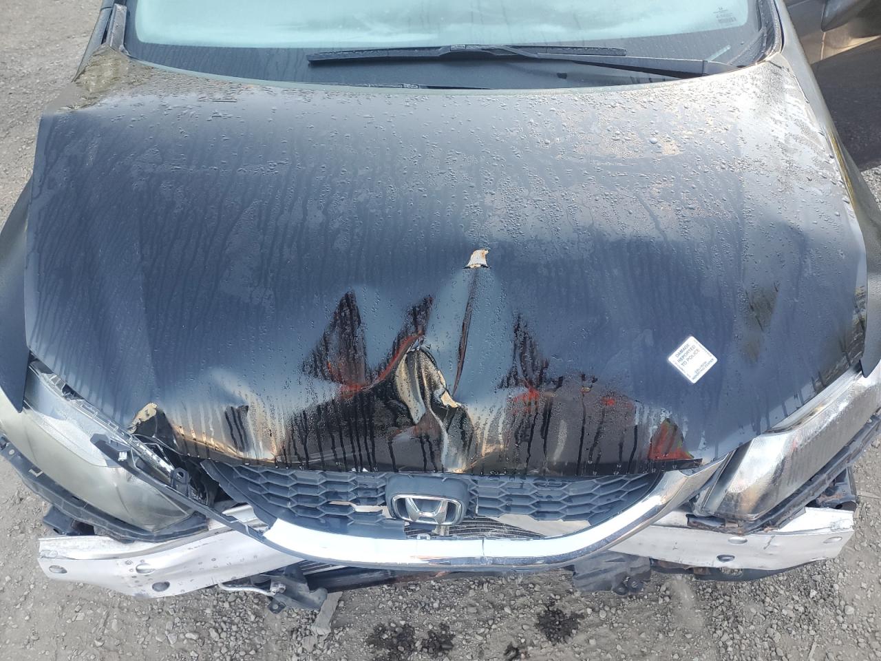 2014 Honda Civic Lx VIN: 2HGFB2F43EH024985 Lot: 81407775