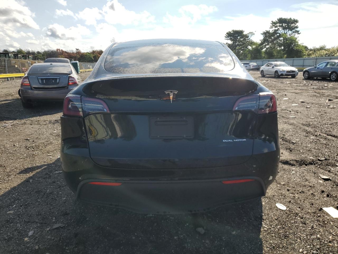 2023 Tesla Model Y VIN: 7SAYGDEE6PA181160 Lot: 71711575