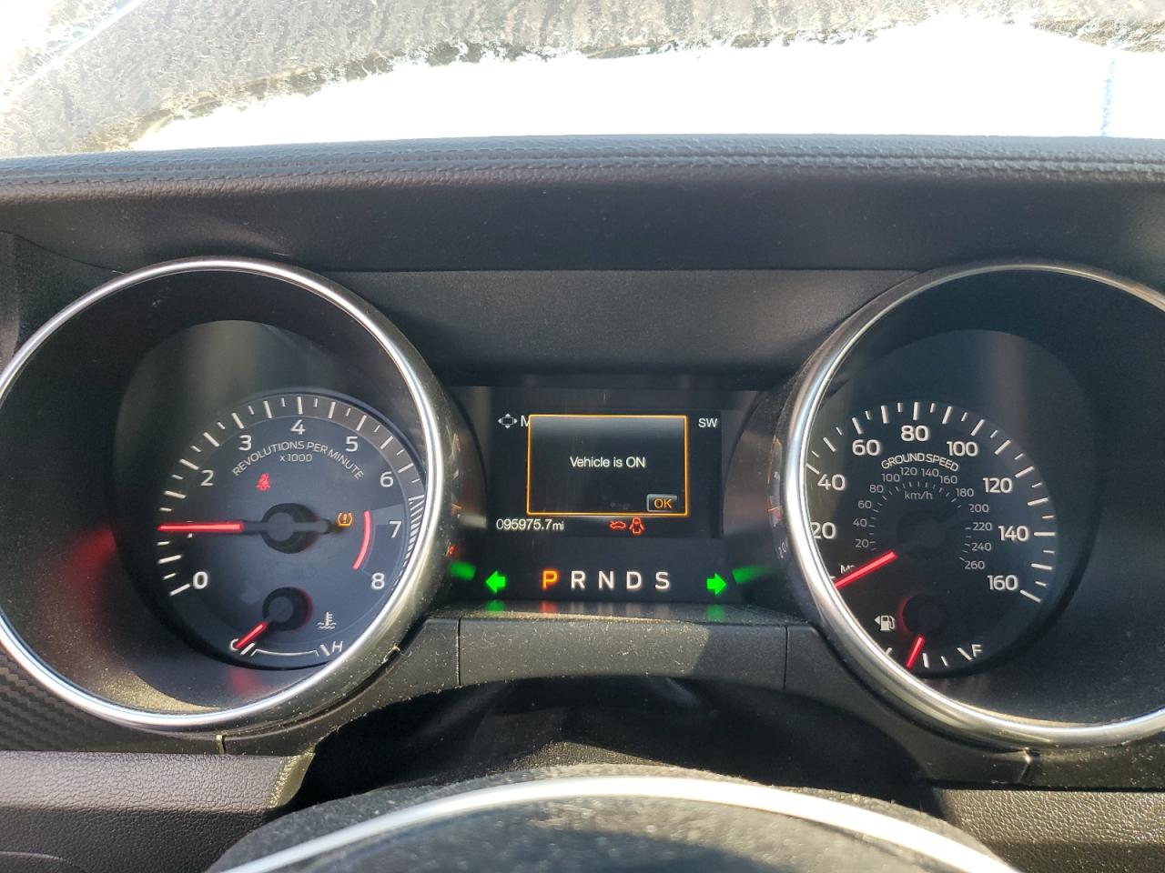 2020 Ford Mustang VIN: 1FATP8UH1L5145519 Lot: 81524195