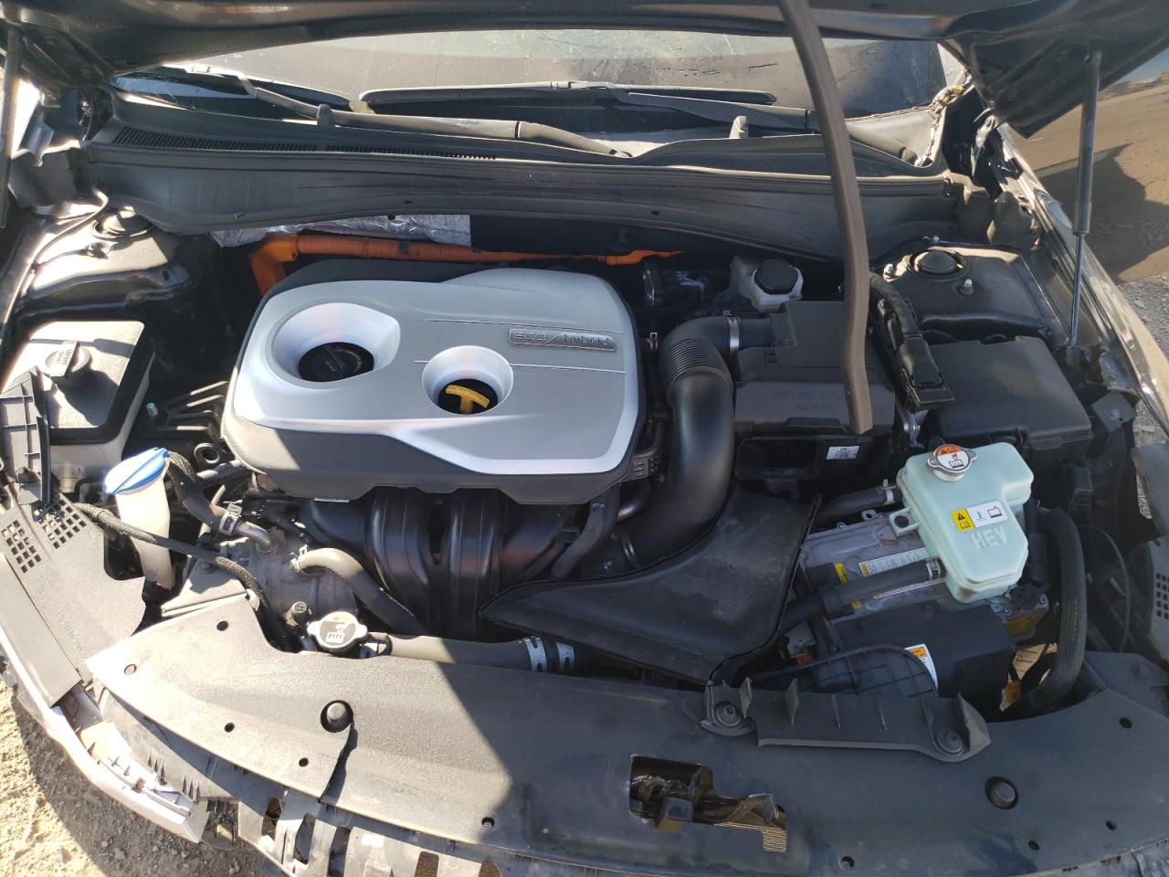 2020 Kia Optima Hybrid Ex VIN: KNAGU4LE4L5037316 Lot: 81958435