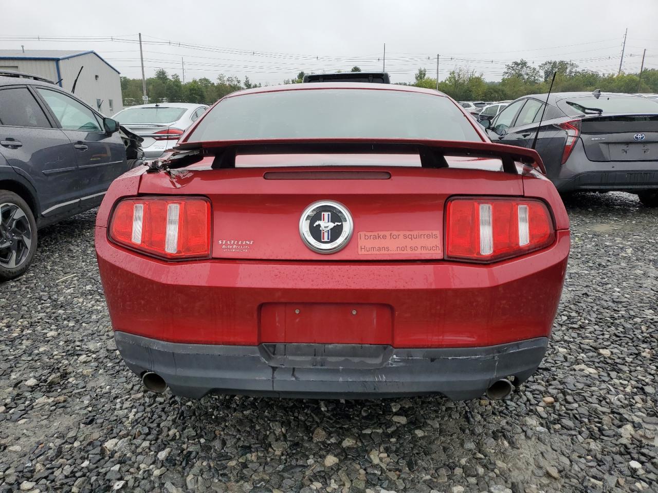 2010 Ford Mustang VIN: 1ZVBP8AN1A5144705 Lot: 81808825