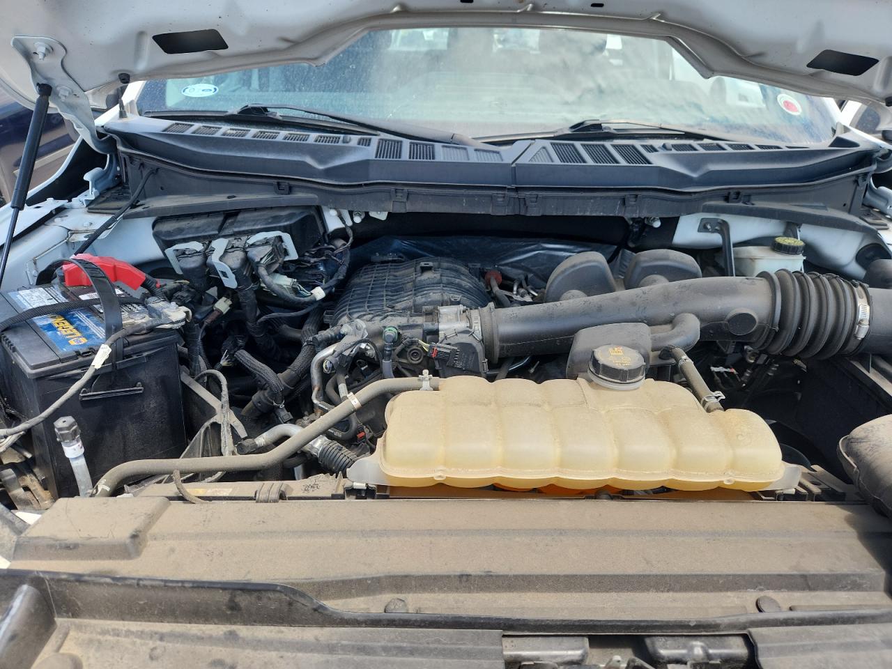 2021 Ford F150 VIN: 1FTMF1CB3MKD86717 Lot: 70597505