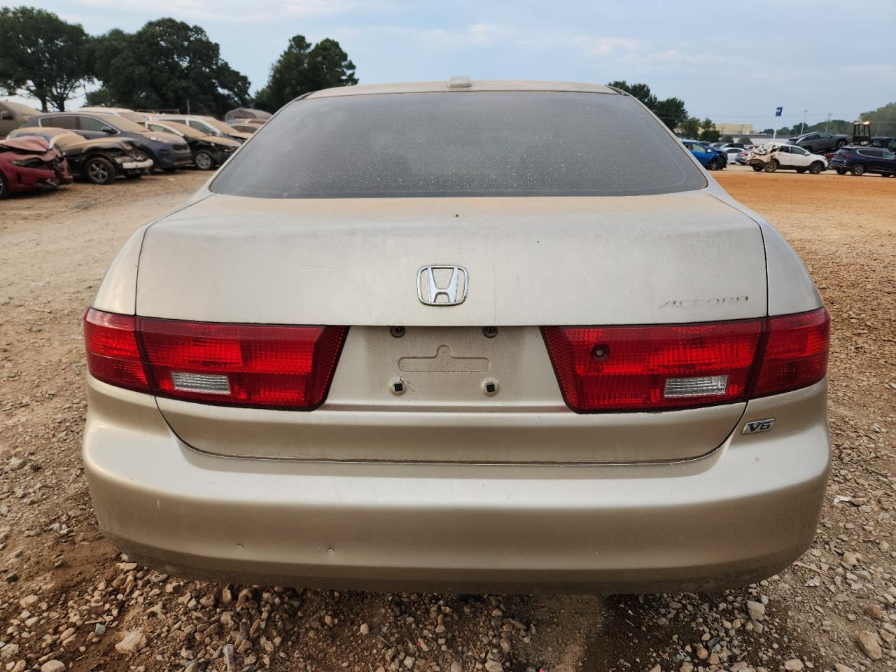 2005 Honda Accord Ex VIN: 1HGCM665X5A041844 Lot: 81320145