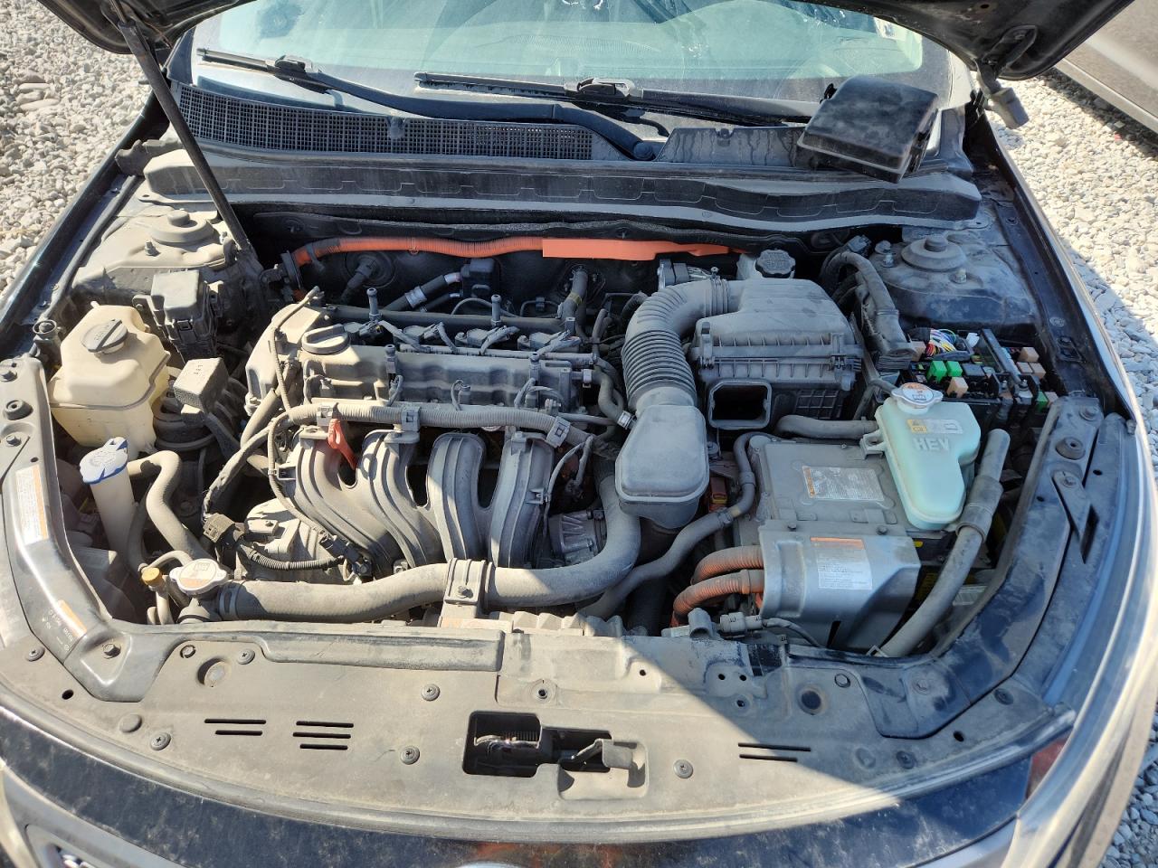 2016 Kia Optima Hybrid VIN: KNAGN4AD7G5093232 Lot: 81396085