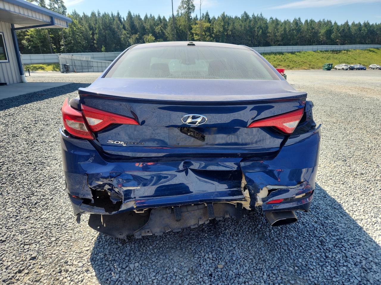 2016 Hyundai Sonata Se VIN: 5NPE24AF9GH371200 Lot: 81194485