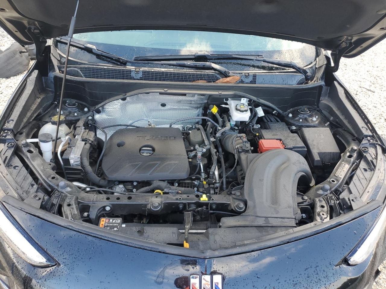 2024 Buick Encore Gx Sport Touring VIN: KL4AMESL7RB191375 Lot: 84554985