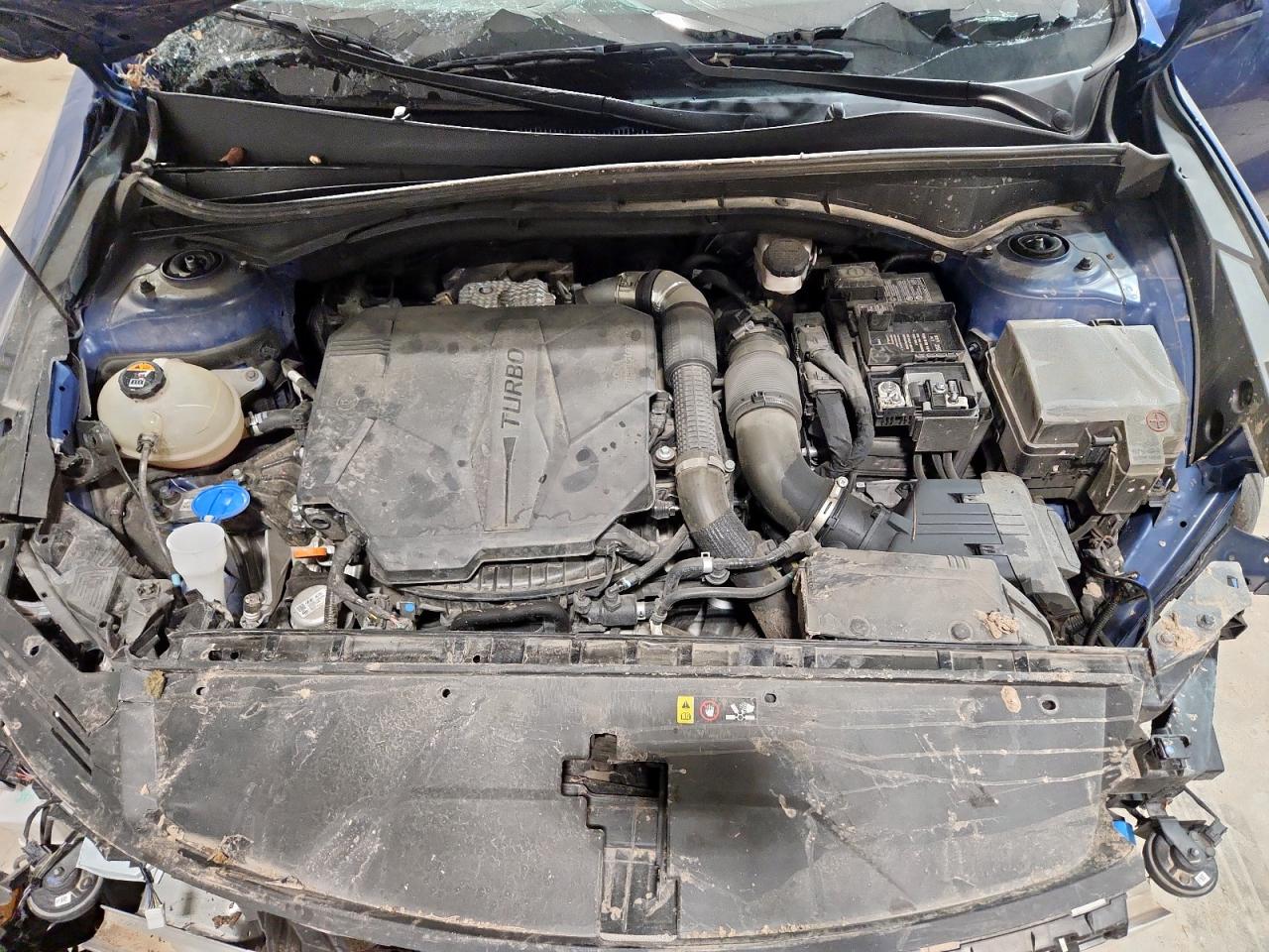 2023 Kia Sorento Sx VIN: 5XYRK4LF5PG228718 Lot: 83777055