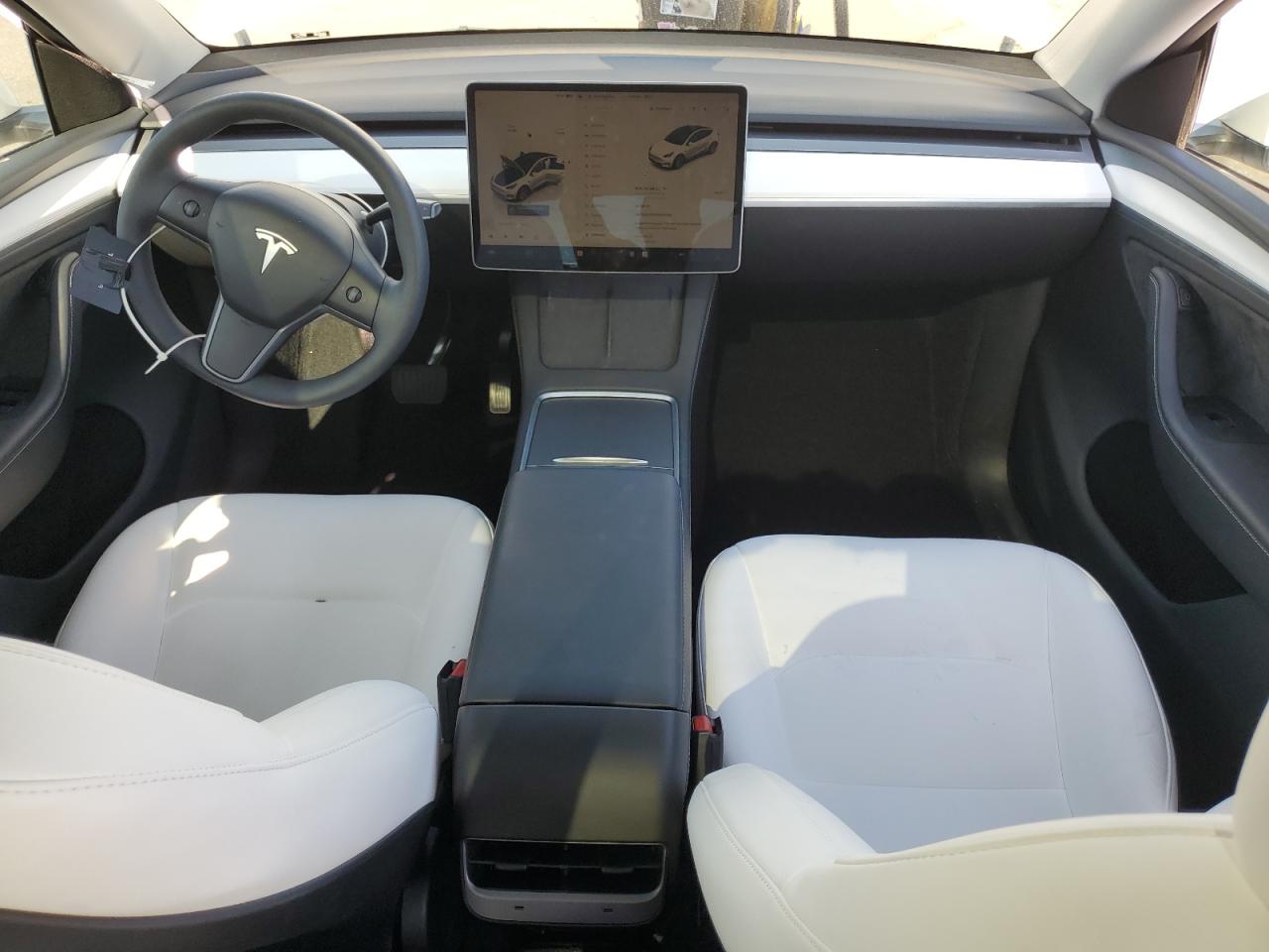 2023 Tesla Model Y VIN: 7SAYGDEE1PA146395 Lot: 84204145