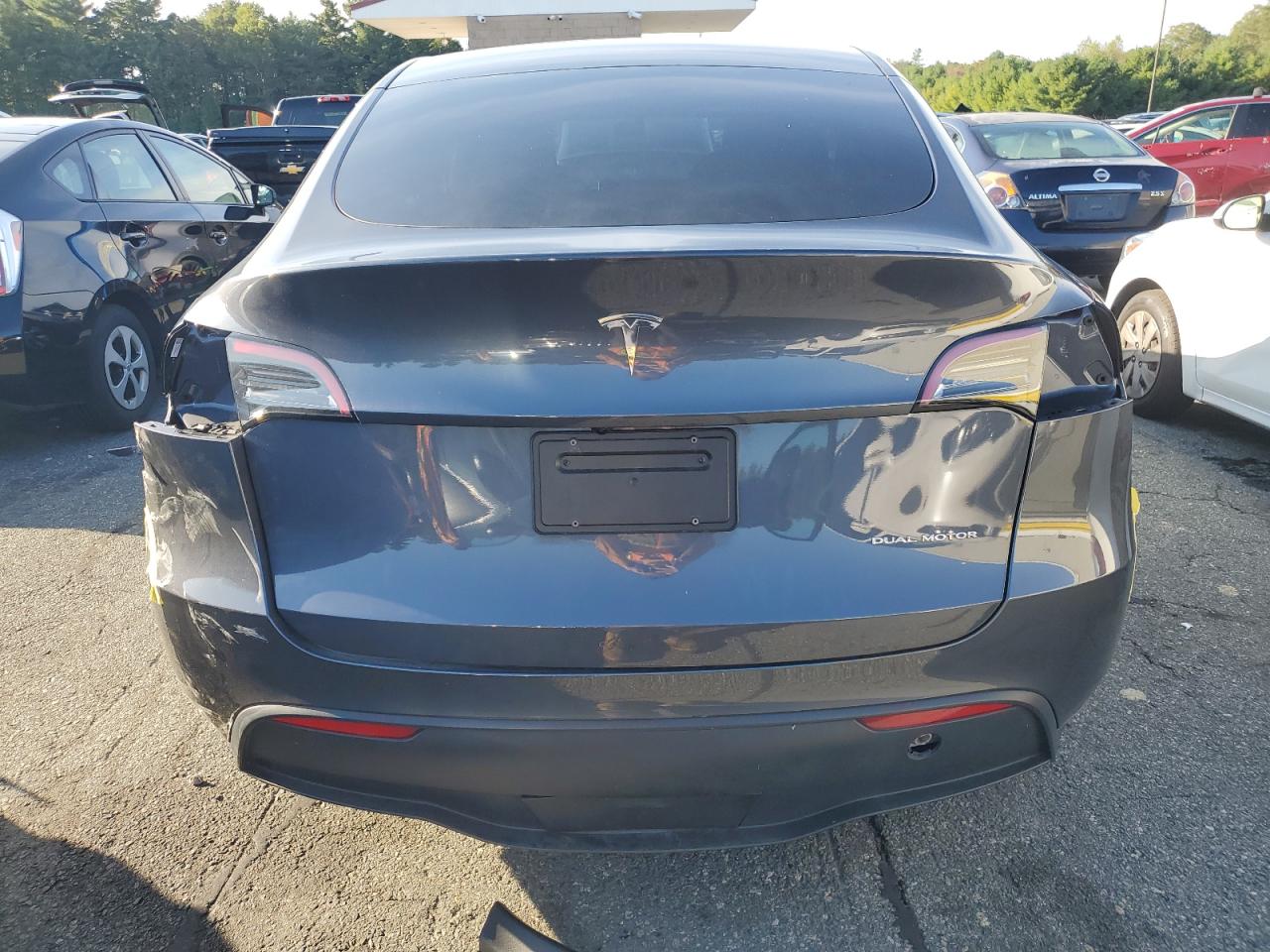 2023 Tesla Model Y VIN: 7SAYGAEE0PF864389 Lot: 81257495