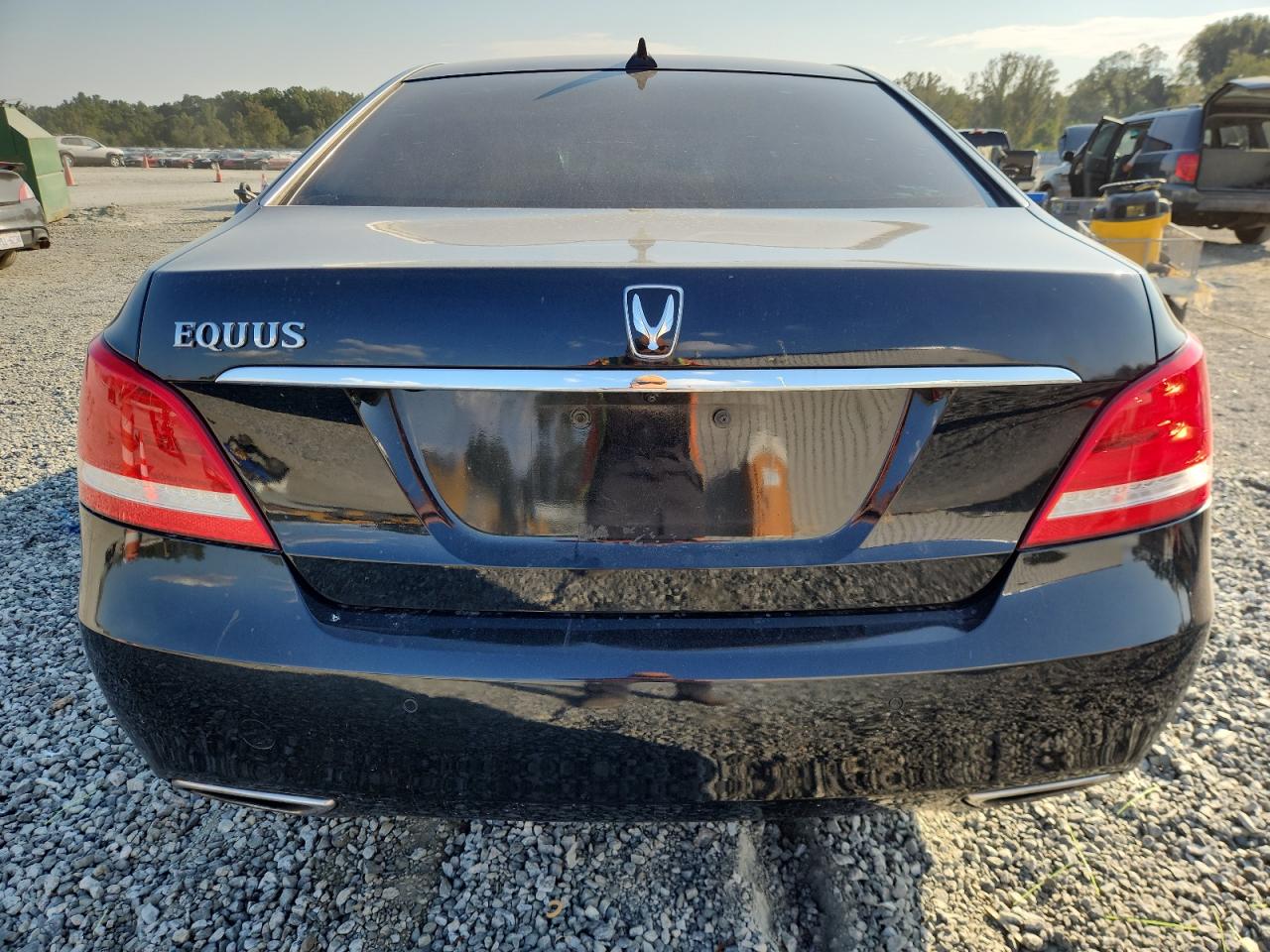 2015 Hyundai Equus Signature VIN: KMHGH4JH4FU098577 Lot: 81765695