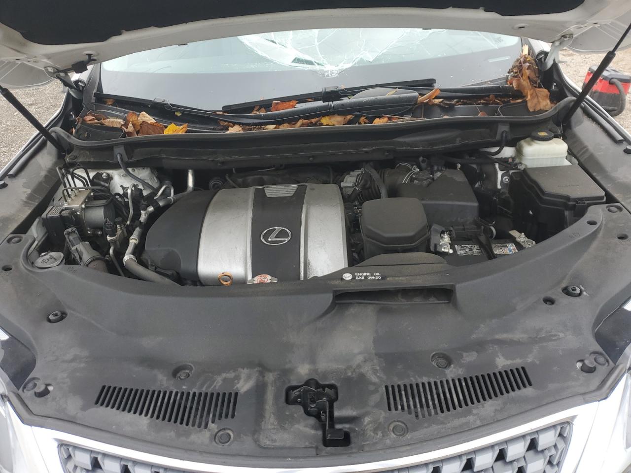 2021 Lexus Rx 350 Base VIN: 2T2AZMDA6MC264481 Lot: 80138775