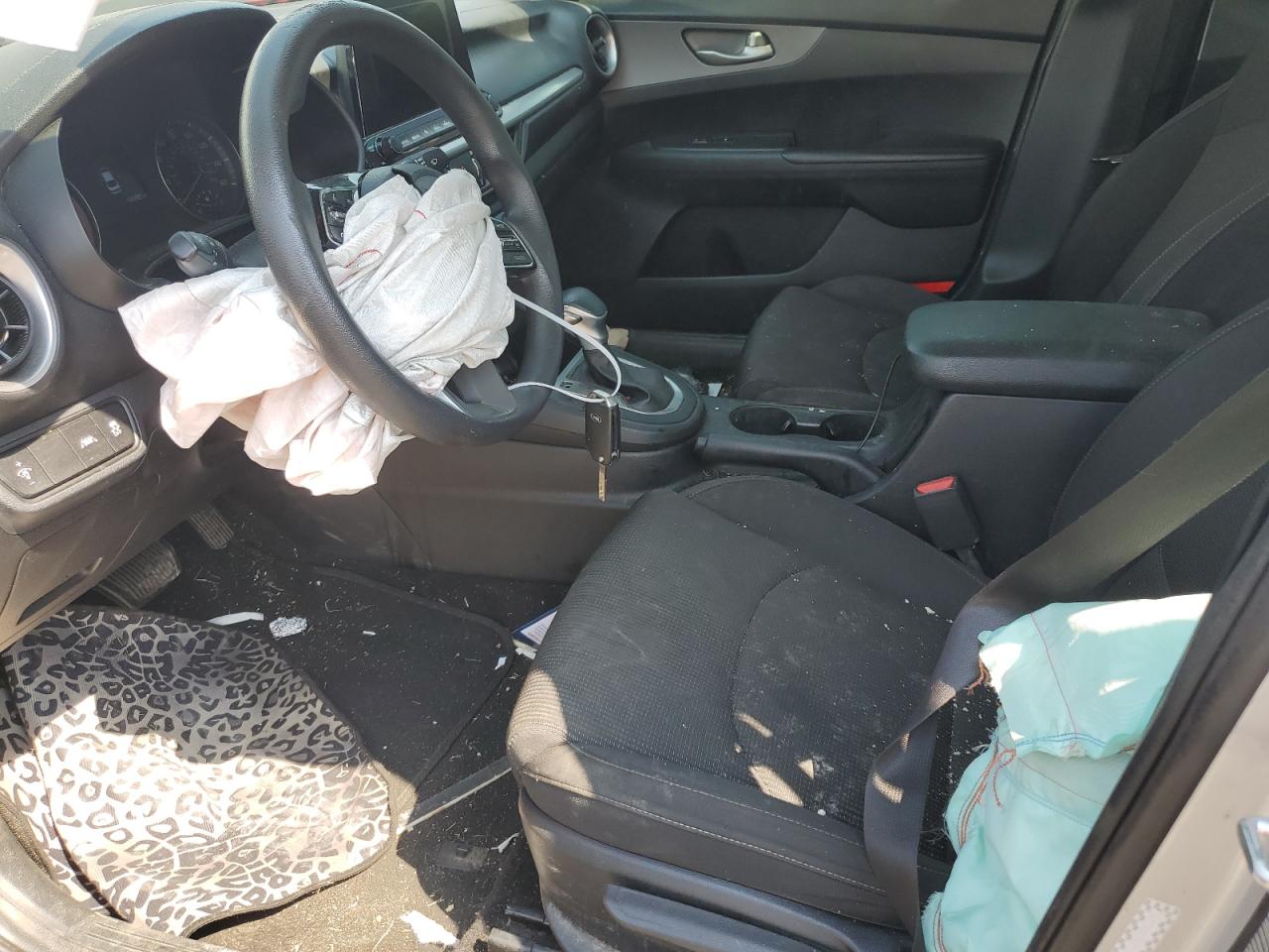 2019 Kia Forte Fe VIN: 3KPF24AD7KE100085 Lot: 81098945