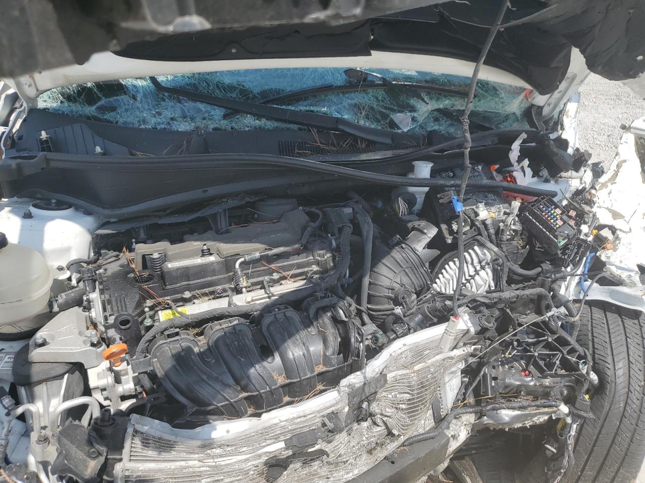 2023 Kia Sportage X Line VIN: 5XYK6CAF0PG045407 Lot: 83870315