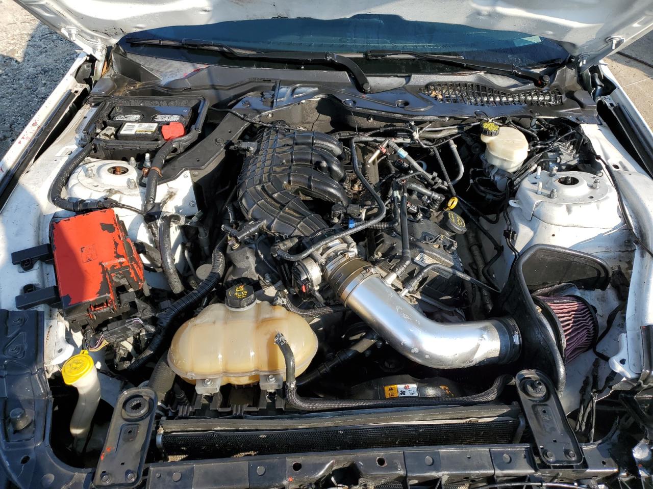 2016 Ford Mustang VIN: 1FA6P8AM6G5210367 Lot: 71900705