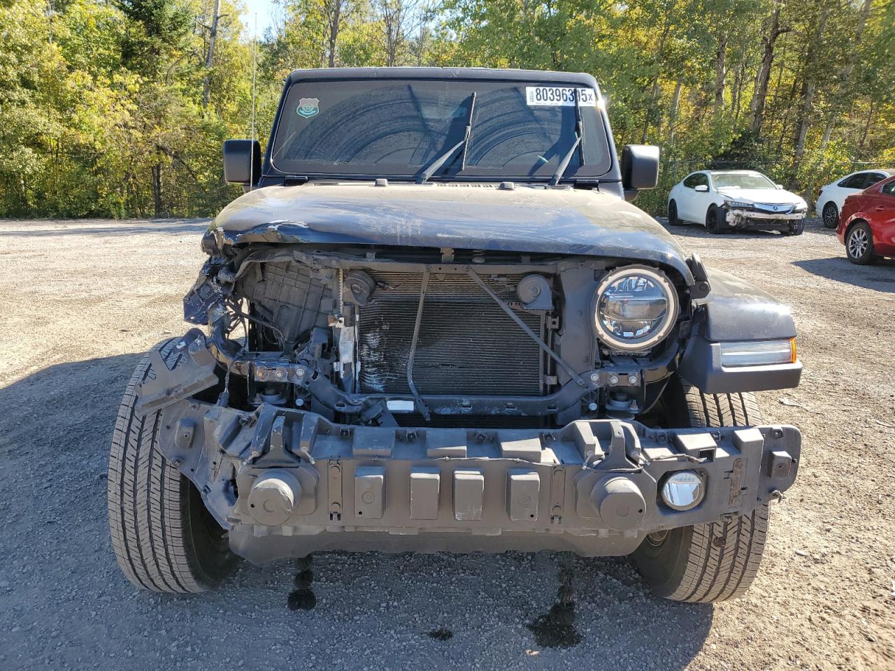 2019 Jeep Wrangler Unlimited Sahara VIN: 1C4HJXEG5KW549109 Lot: 80396395