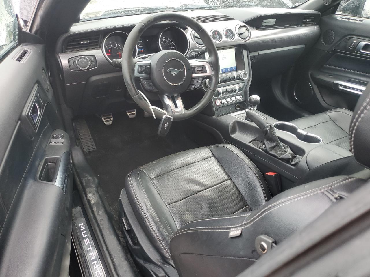 2019 Ford Mustang VIN: 1FA6P8TH3K5198896 Lot: 81188685