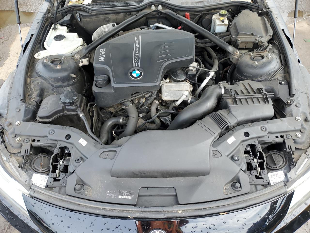 II (E89) II (E89)