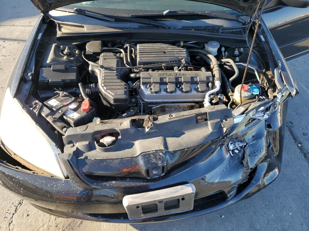 2004 Honda Civic Lx VIN: 2HGES16534H616867 Lot: 71912455